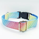 Rainbow with Golden Scale Pattern Dog Collar - S-L sizes with custom matching pet tag - Adventures of Rubi